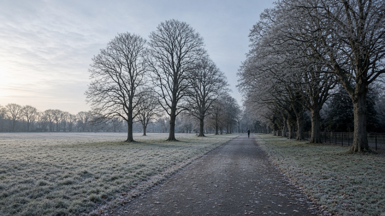A quiet frosty path on a winter morning, the sort of empty stretch where a grin from a stranger still counts